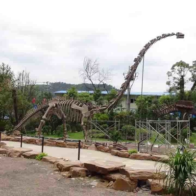 Groot openluchtdinosaurusskelet, Sunproof dinosaurusmodelskelet
