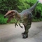 Raptor dinosaurus Echt dinosaurus kostuum te koop