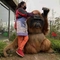 Gorilla-kostuum voor volwassenen Realistisch gorilla-pak voor pretpark