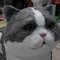 Levensgrote realistische animatronic kat, interactieve pratende mooie kat