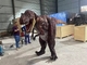 Volwassen het Kostuum Lichtgewicht In te ademen van de Grootte Realistische Dinosaurus