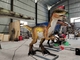 Volwassen Realistische de Dinosaurusrobot Animatronic Velociraptor van het Themapark