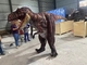Persoonlijke maat Realistisch dinosaurus kostuum voor speelkamer