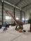 Dinosaur Park 3D Authentieke Animatronische Dino Aanpassing