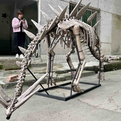 Tentoonstelling Jurassic Park dinosaurusskelet, replica's van dinosaurusbotten