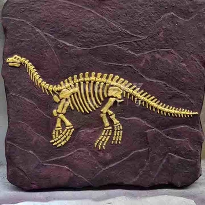 kopen Outdoor Dinosaurus Skelet Replica Model Levensgrote RoHS Goedgekeurd online manufacture