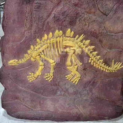 Handgemaakte replica's van museumdinosaurussen, Dino-schedelreplica jeugdleeftijd