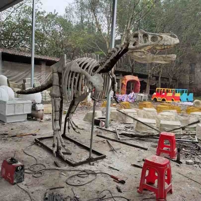 kopen Outdoor / Indoor levensgrote replica van de dinosaurusschedel, replica's van dinosaurusfossielen online manufacture