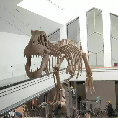 kopen Replica van dinosaurusskeletten voor binnen, jeugdleeftijd, 12 maanden garantie online manufacture