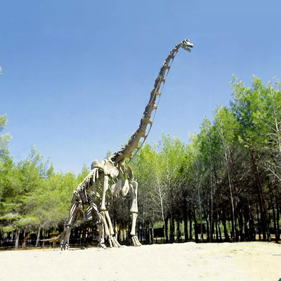 kopen Realistische dinosaurusskeletreplica / Jurassic World-replica voor binnen online manufacture