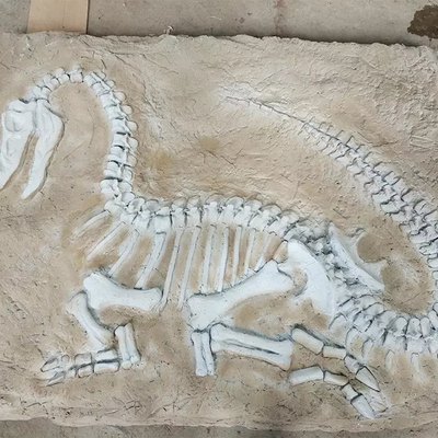 Levensgrote dinosaurusreplica, dinosaurusreplicafossiel voor zakelijke activiteiten