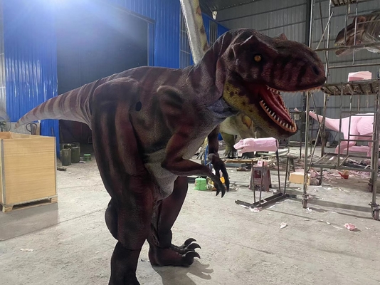 Volwassen het Kostuum Lichtgewicht In te ademen van de Grootte Realistische Dinosaurus