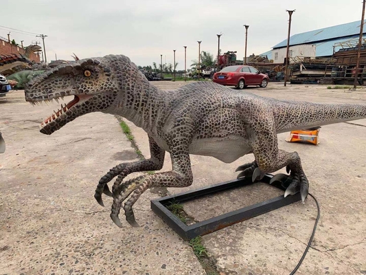 Levensgrote realistische animatronic dinosaurus Velociraptor model pretpark dinosaurus