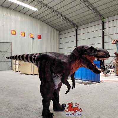 Aangepast echt T Rex-kostuum, Tyrannosaurus-pak voor binnen