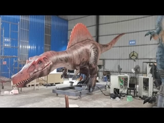Levensgrootte Realistische Animatronische Dinosaurus Spinosaurus Servomotoren Groot bereik van bewegingen